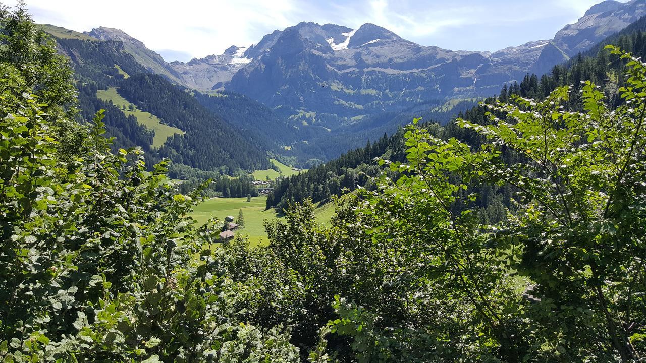 Bergluft Bed & Breakfast Lenk Bagian luar foto